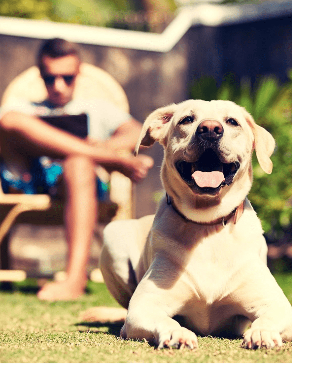 A dog sitting in the grass next to a man.